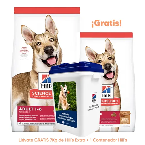 Hills SD Canine Adulto 1-6 Cordero y Arroz 15Kg + 7Kg GRATIS