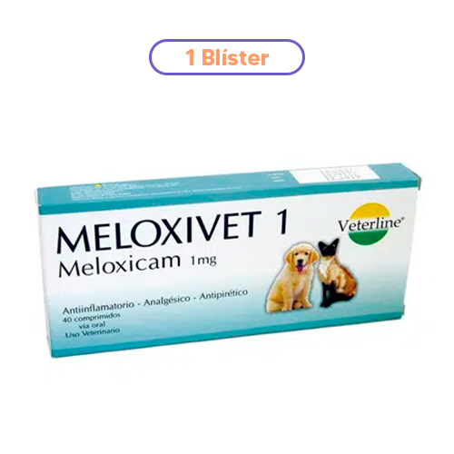 Condroprotector Perro Artrin 10 Tabletas Analgésico Antiinflamatorio Meloxivet Meloxicam 1mg 1 Blíster