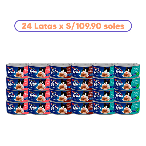 Homepage Promoción Pack de 24 Latas Felix de 156Gr (8 latas de cada sabor)