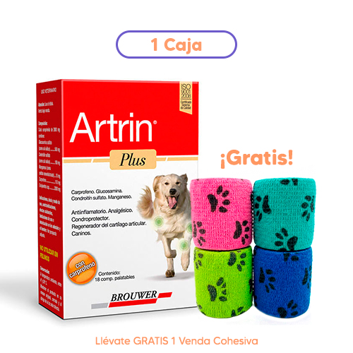 Homepage Condroprotector Perro Artrin Plus caja