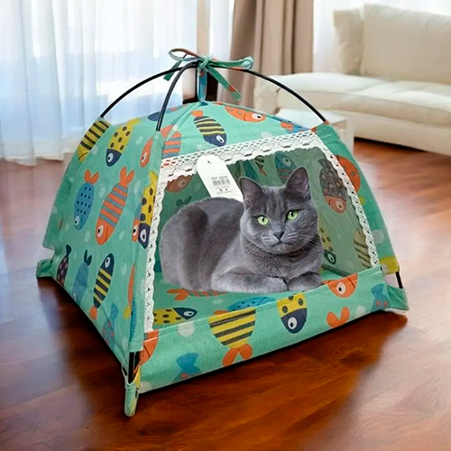 Homepage La Mascota de Keli Casita Carpa