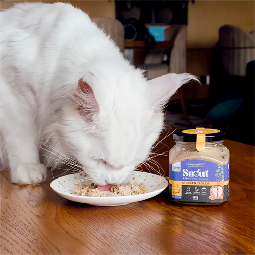 Snout Holistic Wellness Chicken Adulto Gato Snout Holistic Wellness Chicken Adulto Gato