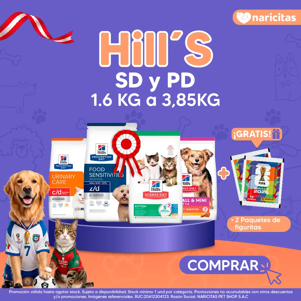 Homepage