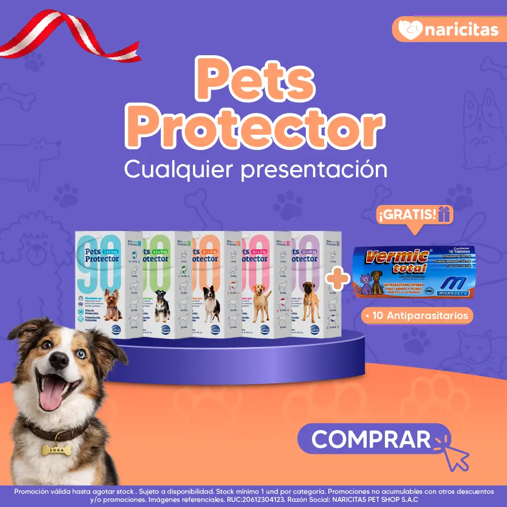 Homepage
