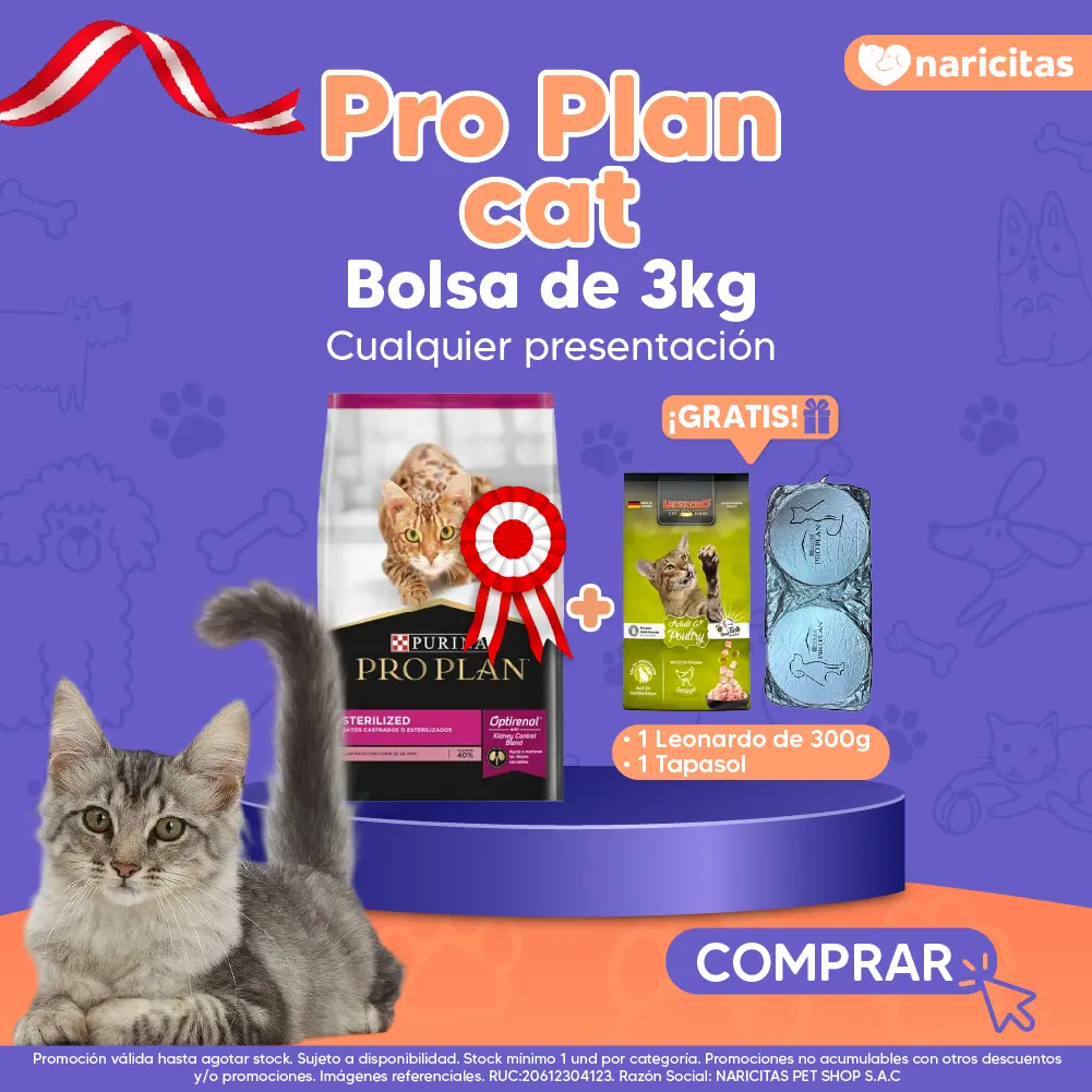 Homepage