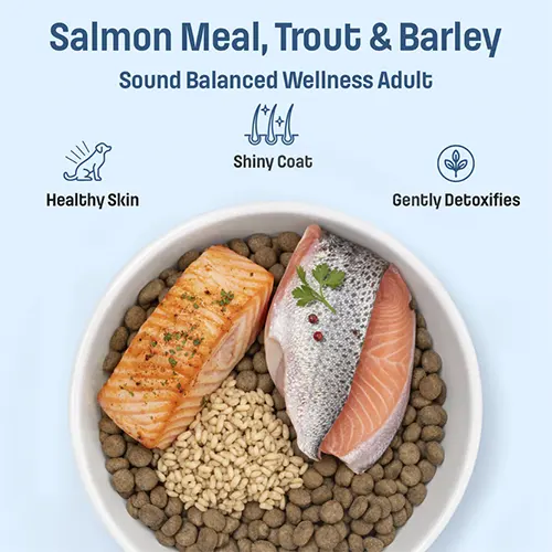 Nutram Dog S49 Adulto Salmón, Trout y Barley 2Kg