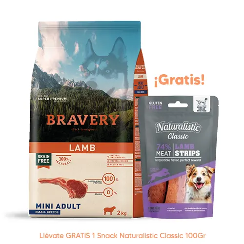 Bravery Perro Adulto Cordero Mini Small Breeds 2kg