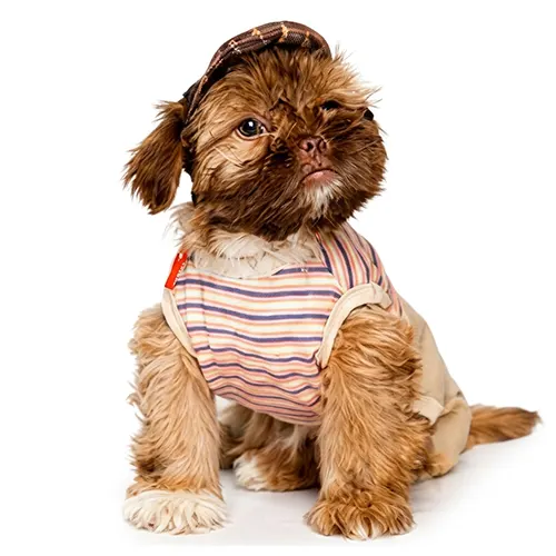 Mac Disfraz Chavo del Ocho con Gorro para Mascota Mac Disfraz Chavo del Ocho con Gorro para Mascota