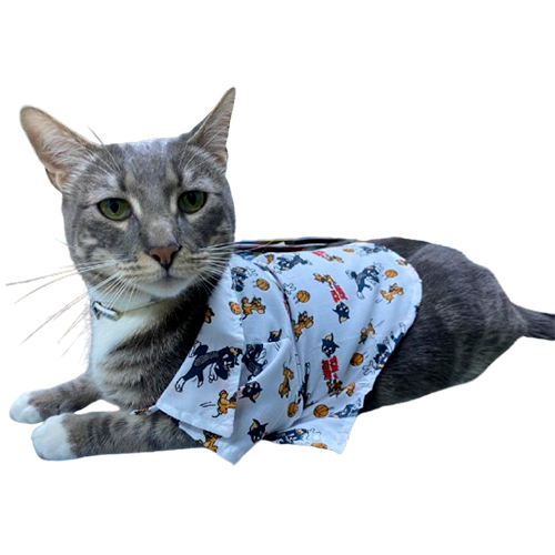 Mac Camisa Tom y Jerry