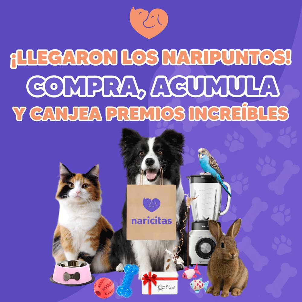 Naripuntos banner naripuntos 2025