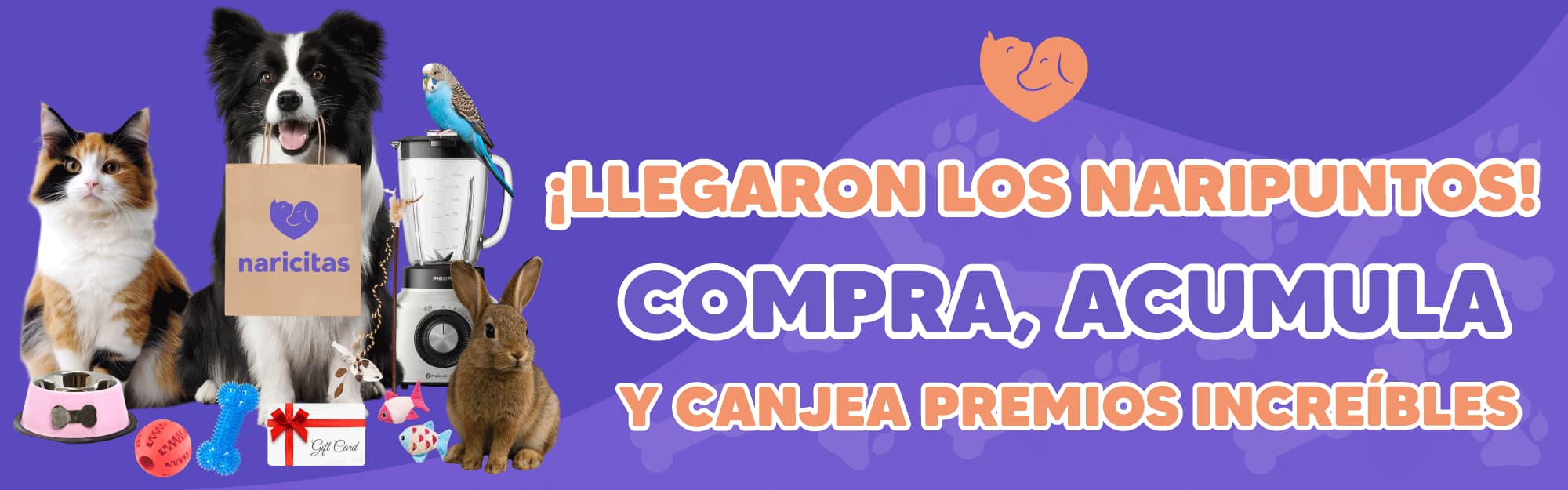Naripuntos banner naripuntos 2025